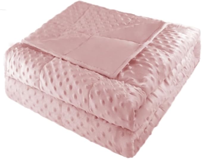 ALANSMA Reversible Weighted Blanket for All Season, Luxury Velvet, Warm and Cool, Adult 10Lb Weighted Blanket, Enjoy Sleeping Anywhere(Pink, 48''x72''10lbs)
