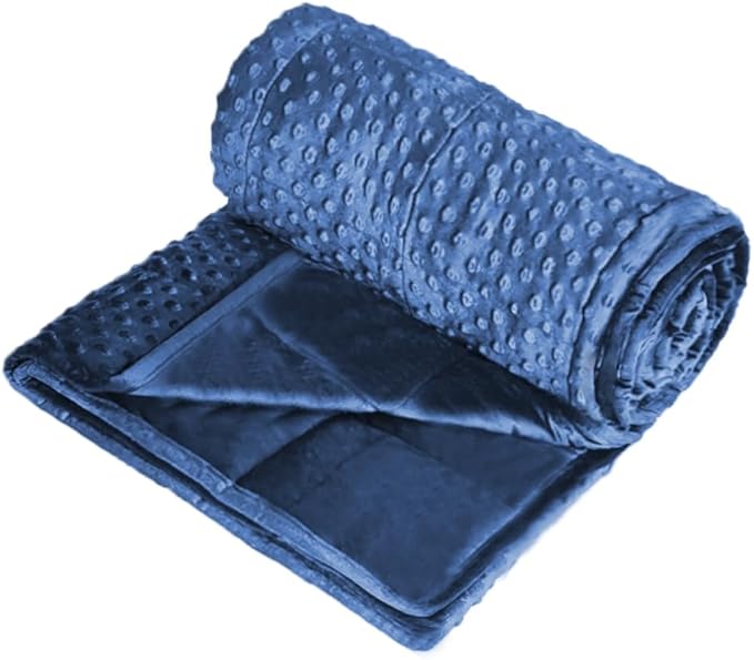 ALANSMA Reversible Weighted Blanket for All Season, Luxury Velvet, Warm and Cool, Adult 10Lb Weighted Blanket, Enjoy Sleeping Anywhere(Blue, 48''x72''10lbs)