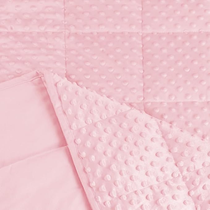ALANSMA Reversible Weighted Blanket for All Season, Luxury Velvet, Warm and Cool, Adult 10Lb Weighted Blanket, Enjoy Sleeping Anywhere(Pink, 48''x72''10lbs)
