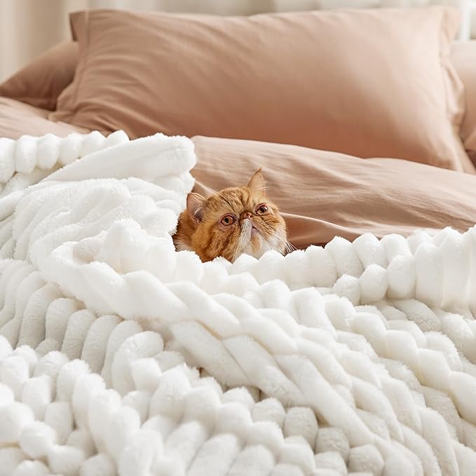 Bedsure King Size Blanket for Bed - GentleSoft Cozy Soft Blankets for Women, Cute Large Bedding Fleece Throws for Girls, Off White, 108x90 Inches