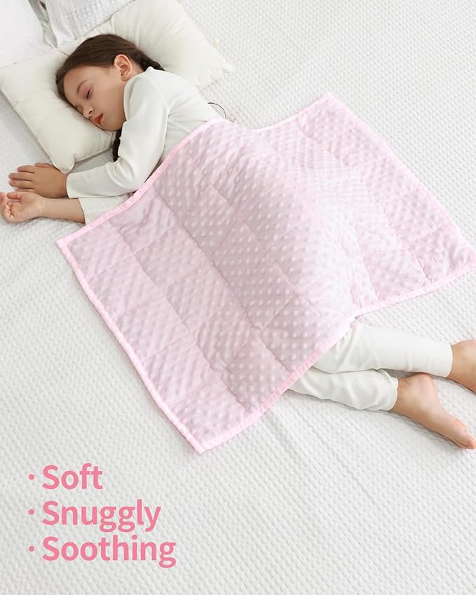 Mr. Sandman Weighted Blanket 2LBS 20 x 30 Inches, Minky Dots Heavy Blanket with Glass Beads, Soft and Cooling for School and Home, Pink