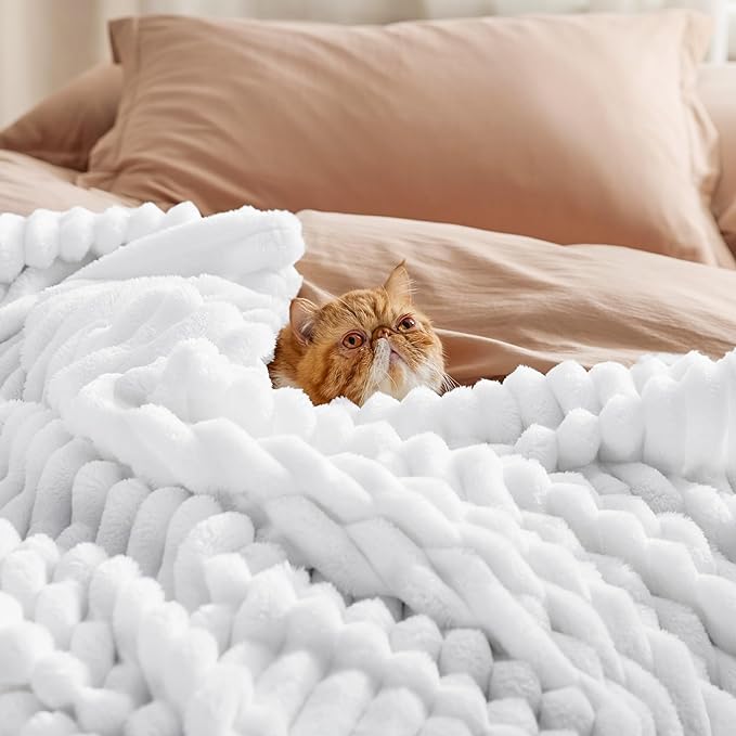 Bedsure White Fleece Blanket for Couch - GentleSoft Cozy Soft Blankets for Women, Cute Small Throws for Girls, 50x70 Inches