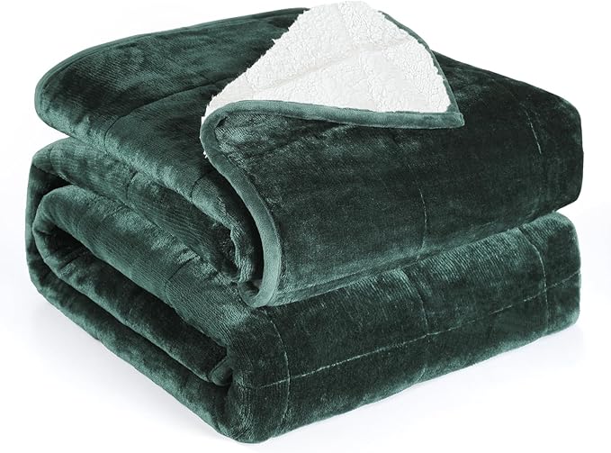 Alomidds Weighted Blanket Queen Size 20lbs 60 x 80 inches, Adult Weighted Blankets with Soft Plush Fleece,Fluffy Thick Warm Sherpa & Cozy Flannel Heavy Blanket for Sofa Bed, Forest Green