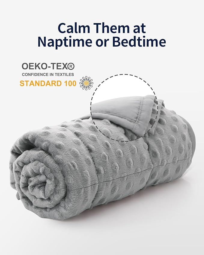 Mr. Sandman Weighted Blanket 3LBS 36 x 48 Inches, Minky Dots Heavy Blanket with Glass Beads, Soft and Cooling for School and Home, Grey