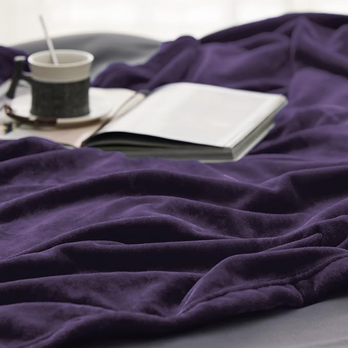 Bedsure Fleece Throw Blanket Purple - 300GSM Blankets for Couch, Sofa, Bed, Soft Lightweight Plush Cozy Throws for Toddlers, 50x60 inches