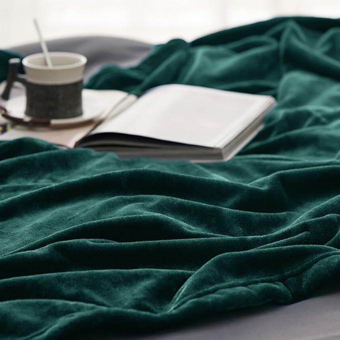 Bedsure Fleece Blankets Queen Size Emerald Green - Bed Blanket Soft Lightweight Plush Fuzzy Cozy Luxury Microfiber, 90x90 inches