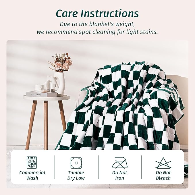Wemore Flannel Fleece Weighted Blanket for Adult Twin Size 15 lbs, Dual Sided Luxurious Checkerboard Grid Heavy Blankets, Ultra Soft Throw Blanket, Plaid Green, 48 x 72 inches