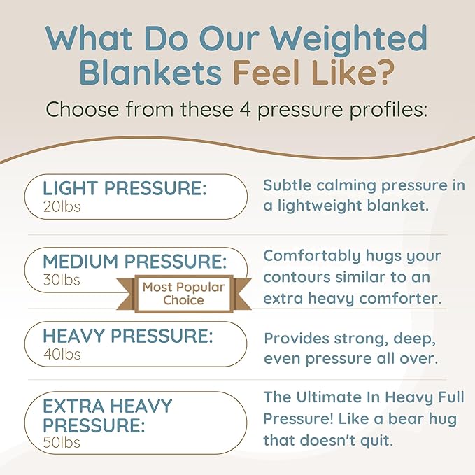 HomeSmart King Size Weighted Blanket 20lbs, Soft, Thick, Heavy Blanket, Fits Standard and California King Beds, Black