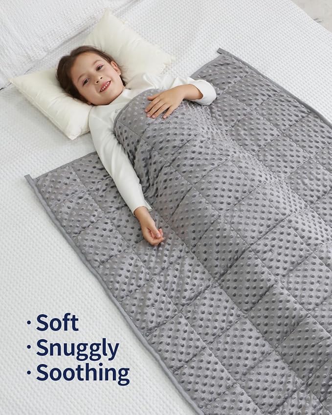 Mr. Sandman Weighted Blanket 3LBS 36 x 48 Inches, Minky Dots Heavy Blanket with Glass Beads, Soft and Cooling for School and Home, Grey