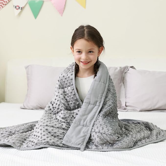 Mr. Sandman Weighted Blanket 3LBS 36 x 48 Inches, Minky Dots Heavy Blanket with Glass Beads, Soft and Cooling for School and Home, Grey