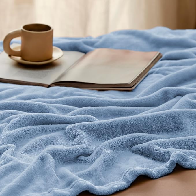 Bedsure Fleece Throw Blanket for Couch Light Blue - Lightweight Plush Fuzzy Cozy Soft Blankets and Throws for Sofa, 50x60 inches