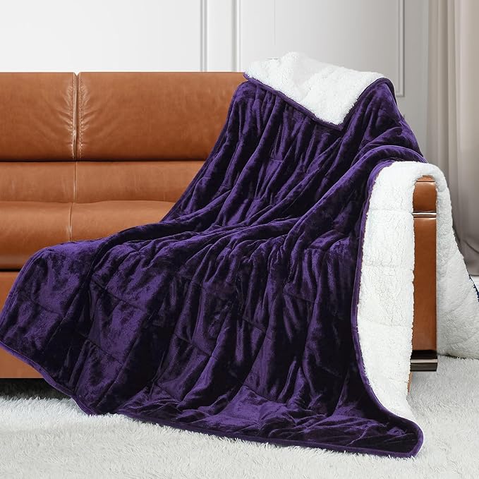 Alomidds Weighted Blanket for Adults,12 lbs Twin Size Heavy Blanket with Soft Shiny Velour Fleece and Fluffy Warm Sherpa for Couch Bed and Sofa, 48 x 72 inches, Purple
