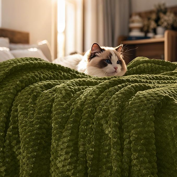PHF Ultra Soft Flannel Fleece Blanket Queen Size, Lightweight 3D Jacquard Fleece Blanket, No Shedding, No Pilling, Luxury 340GSM Aesthetic Fluffy Cozy for Bed Room Decor, 90"x90", Olive Green