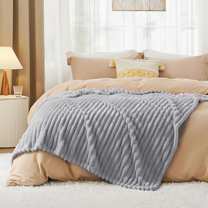 Bedsure Twin Blanket for Couch - GentleSoft Cozy Soft Blankets for Women, Cute Small Fleece Throws for Girls, Light Grey, 60x80 Inches