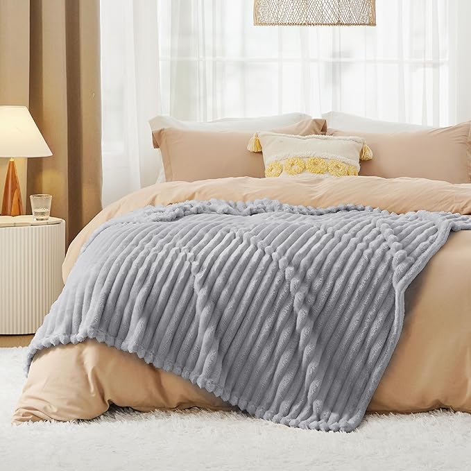 Bedsure Twin Blanket for Couch - GentleSoft Cozy Soft Blankets for Women, Cute Small Fleece Throws for Girls, Light Grey, 60x80 Inches