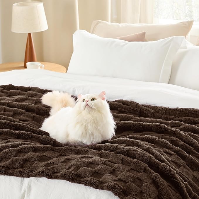 Bedsure Sugar Brown Jewel Fleece Blanket for Couch - Super Soft Cozy Queen Blankets for Women, Cute Small Throws for Girls, 90x90 Inches