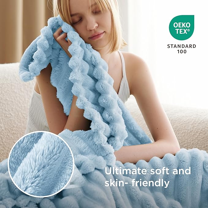 Bedsure Blue Fleece Blanket for Couch - GentleSoft Cozy Soft Blankets for Women, Cute Small Throws for Girls, Light Blue, 60x80 Inches