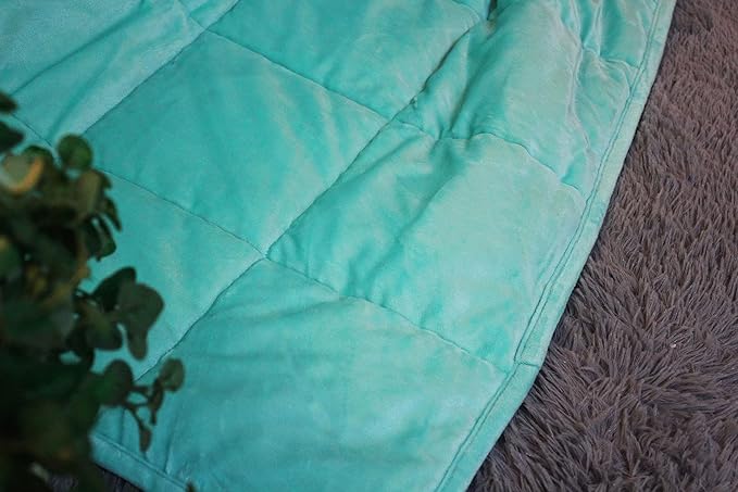 ALANSMA Reversible Weighted Blanket for All Season, Luxury Velvet, Warm and Cool, Adult 10Lb Weighted Blanket, Enjoy Sleeping Anywhere(Green, 48''x72''10lbs)