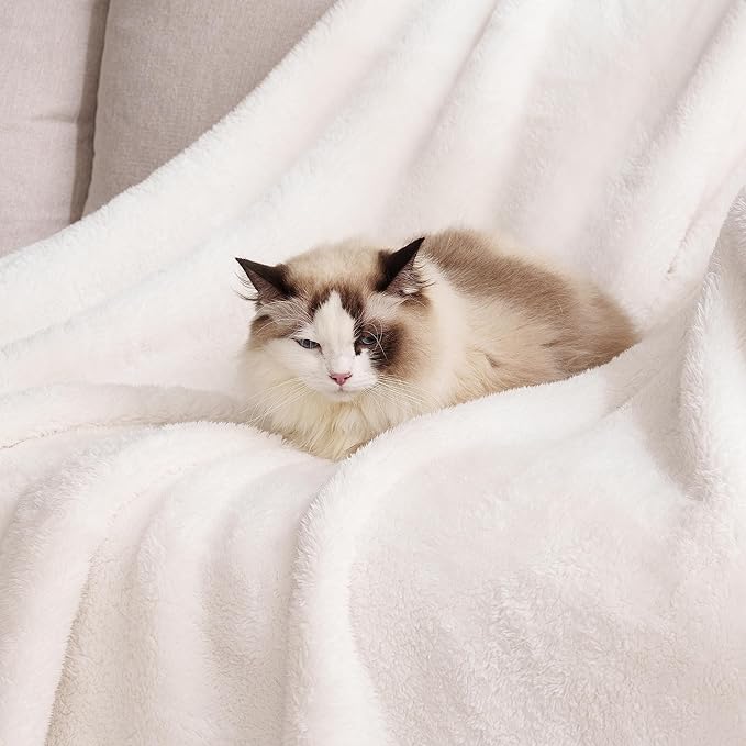 Berkshire Blanket Classic Extra-Fluffy™ Plush Throw Blanket, Soft Fuzzy Fluffy Long Hair Throw Blanket for Couch Sofa Bed, Cream, 50x60 Inches