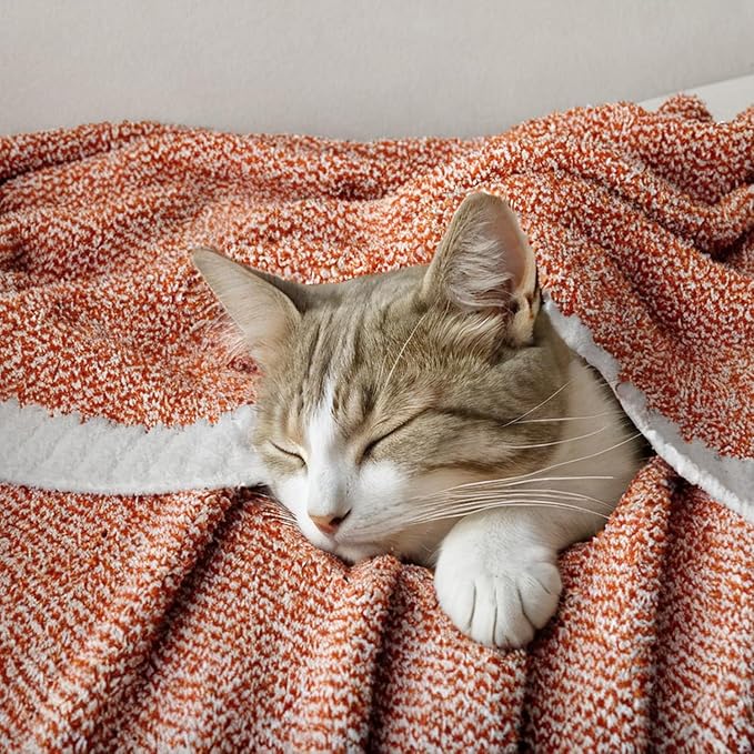 MIULEE Burnt Orange Super Soft Throw Blanket for Couch, Cozy Fluffy Warm Throws Knit Blankets for Sofa, Bed, Chair, Living Room, Camping, Picnic, 50 x 60 inch