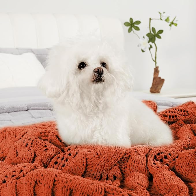 Amélie Home Chunky Knit Chenille Throw Blanket, Breathable Cable Knitted Blanket for Couch, Farmhouse Decorative Throw for Sofa Chair Bed, 60"x80", Burnt Orange