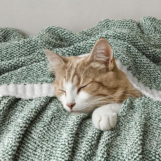 MIULEE Green Super Soft Throw Blanket for Couch, Cozy Fluffy Warm Throws Knit Blankets for Sofa, Bed, Chair, Living Room, Camping, Picnic, 50 x 60 inch