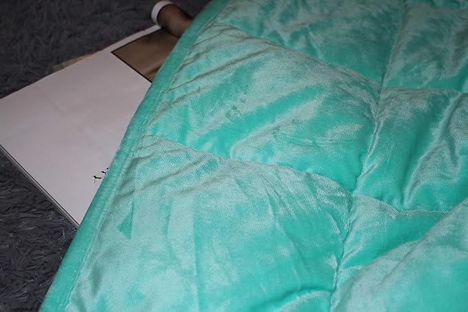 ALANSMA Reversible Weighted Blanket for All Season, Luxury Velvet, Warm and Cool, Adult 10Lb Weighted Blanket, Enjoy Sleeping Anywhere(Green, 48''x72''10lbs)