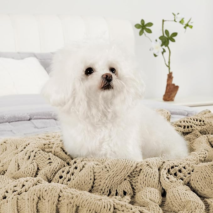 Amélie Home Chunky Knit Chenille Throw Blanket, Breathable Cable Knitted Blanket for Couch, Farmhouse Decorative Throw for Sofa Chair Bed, 60"x80", Beige