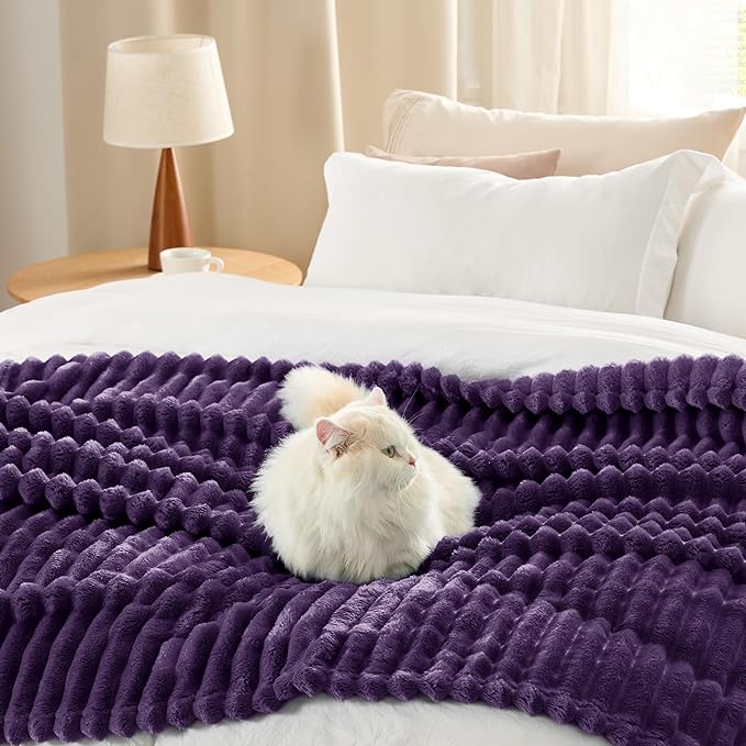 Bedsure Purple Fleece Blanket for Couch - GentleSoft Cozy Soft Blankets for Women, Cute Small Throws for Girls, 60x80 Inches