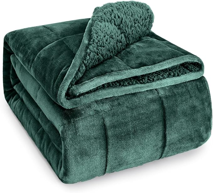 Wemore Sherpa Fleece Weighted Blanket for Adult, 20 lbs Dual Sided Cozy Fluffy Heavy Blanket, Ultra Fuzzy Throw Blanket with Soft Plush Flannel Top, 60 x 80 inches, Green on Both Sides