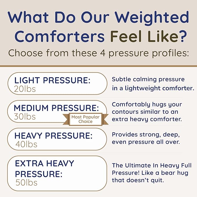 HomeSmart Weighted Comforter Queen - More Fluffy Fill Than Regular Queen Size Weighted Blankets, (20lbs 88x92 Grey)