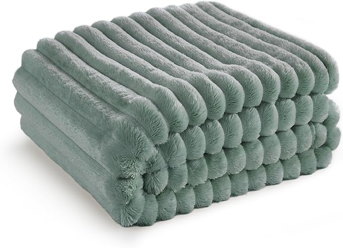 Bedsure Twin Blanket for Couch - GentleSoft Cozy Soft Blankets for Women, Cute Small Fleece Throws for Girls, Sage Green, 60x80 Inches