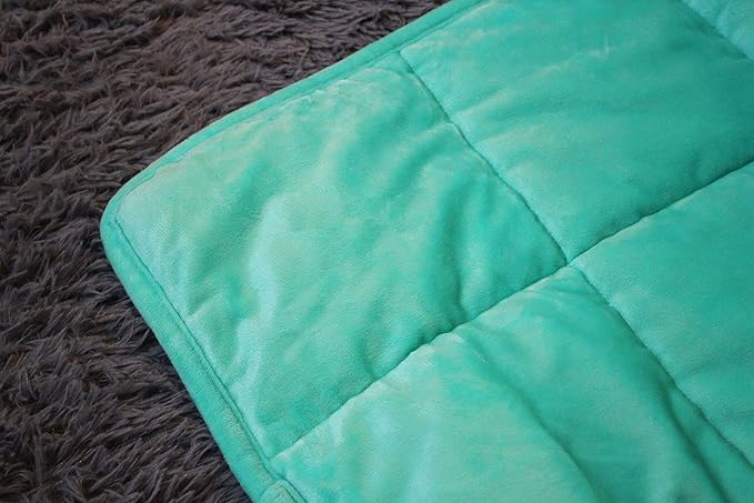 ALANSMA Reversible Weighted Blanket for All Season, Luxury Velvet, Warm and Cool, Adult 10Lb Weighted Blanket, Enjoy Sleeping Anywhere(Green, 48''x72''10lbs)