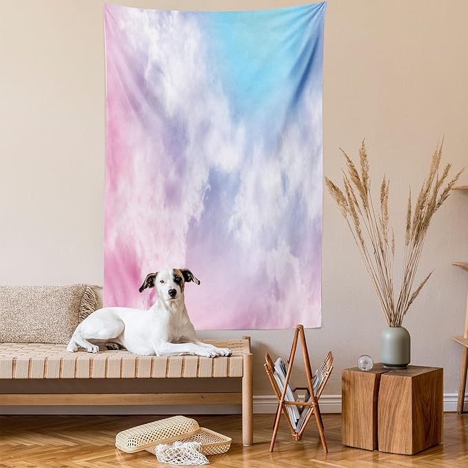 Ambesonne Pastel Tapestry, Fantasy Sky Abstraction Smoky Clouds Foggy Ethereal Composition, Fabric Wall Hanging Decor for Bedroom Living Room Dorm, 23" X 28", Pink Blue