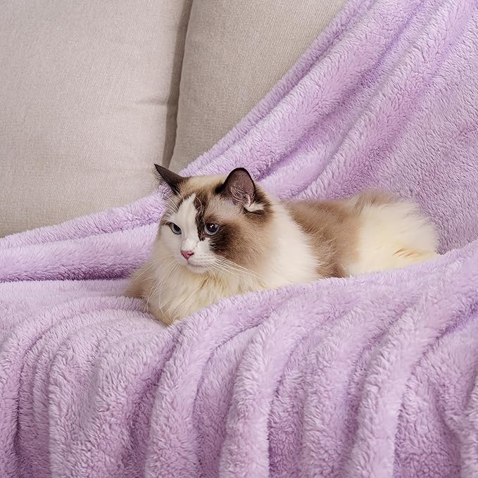 Berkshire Blanket Classic Extra-Fluffy™ Plush Throw Blanket, Soft Fuzzy Fluffy Long Hair Throw Blanket for Couch Sofa Bed, Pastel Lilac Purple, 50x60 Inches