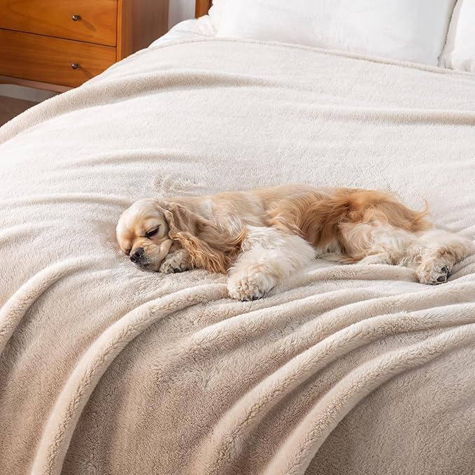 Berkshire Blanket Classic Extra-Fluffy™ Plush Throw Blanket, Soft Fuzzy Fluffy Long Hair Throw Blanket for Couch Sofa Bed, Chino Khaki, 50x60 Inches