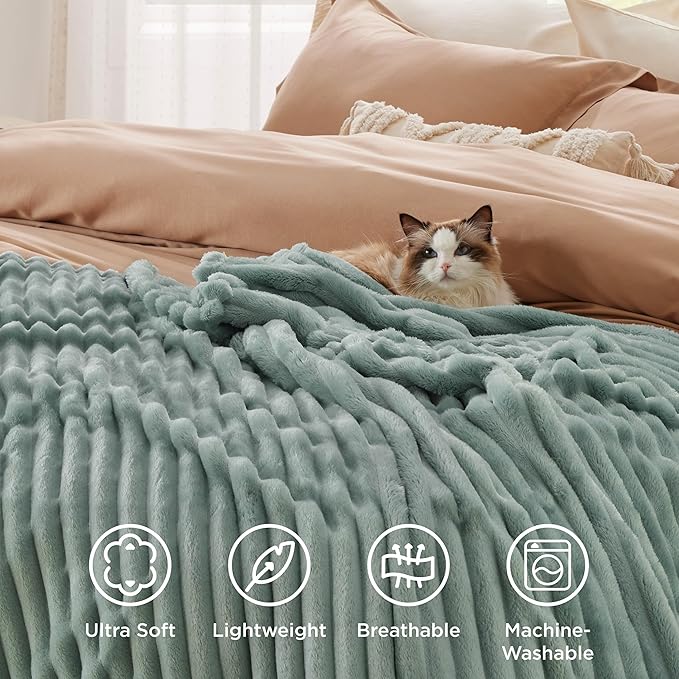 Bedsure Twin Blanket for Couch - GentleSoft Cozy Soft Blankets for Women, Cute Small Fleece Throws for Girls, Sage Green, 60x80 Inches