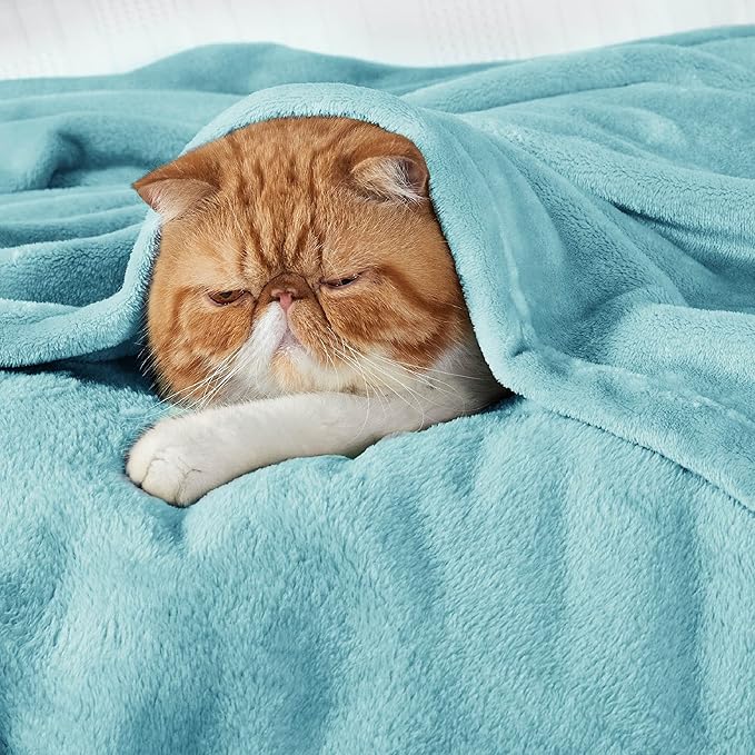 Bedsure Fleece Throw Blanket for Couch River Blue - Lightweight Plush Fuzzy Cozy Soft Blankets and Throws for Sofa, 50x70 inches