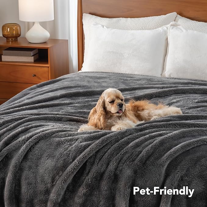 Berkshire Blanket Classic Extra-Fluffy™ Plush Blanket, Queen Size Bed Blanket, Soft Fuzzy Fluffy Long Hair Blanket for Couch Sofa Bed, Shadow Grey, 90x90 Inches