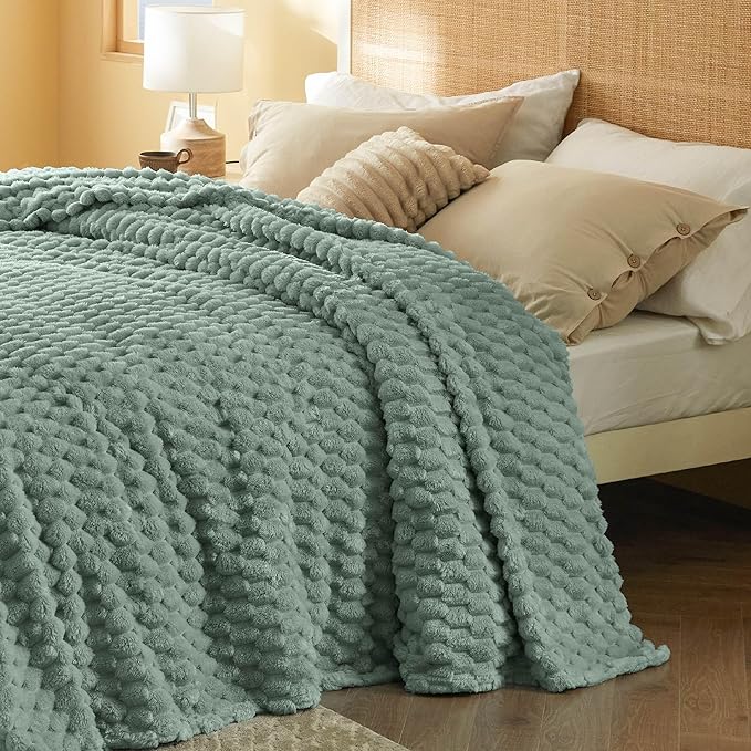 Bedsure Queen Blanket for Bed - Super Soft, Cozy Blankets for Women, Cute Fleece Gifts for Girls, Sage Green, 90x90 Inches