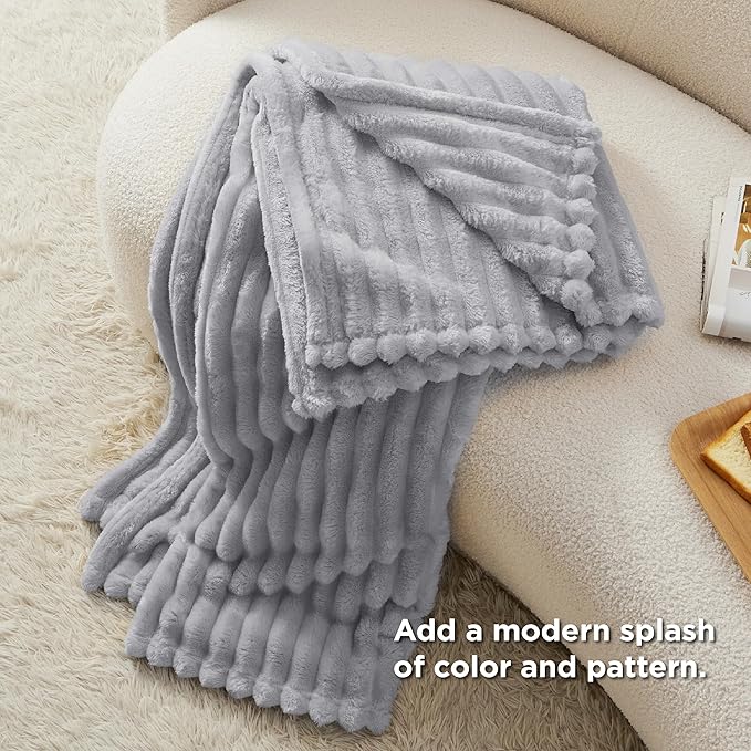 Bedsure Twin Blanket for Couch - GentleSoft Cozy Soft Blankets for Women, Cute Small Fleece Throws for Girls, Light Grey, 60x80 Inches