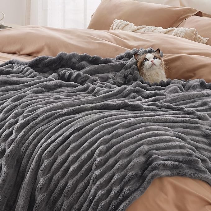 Bedsure Grey Fleece Blanket for Couch - GentleSoft Cozy Soft Blankets for Women, Cute Small Throws for Girls, 50x70 Inches