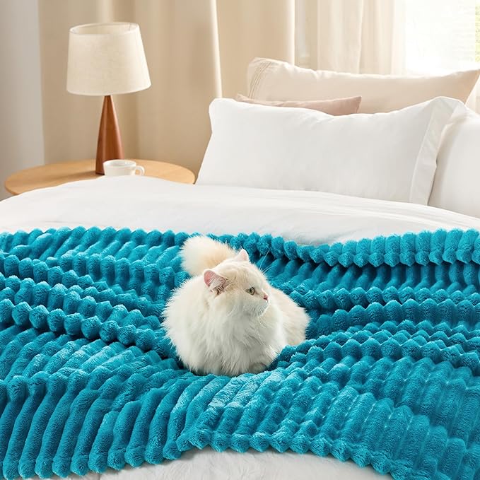 Bedsure Teal Fleece Blanket for Couch - GentleSoft Cozy Soft Blankets for Women, Cute Small Throws for Girls, 90x90 Inches