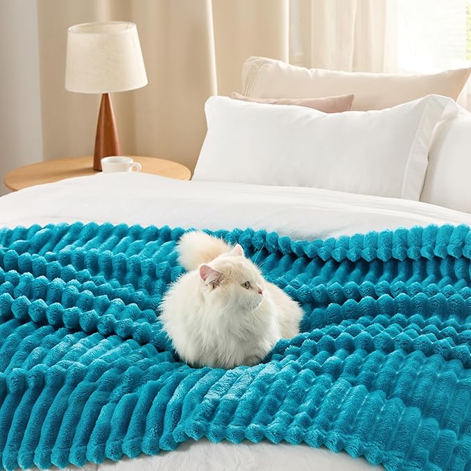 Bedsure Teal Full Blanket for Bed - GentleSoft Cozy Soft Blankets for Women, Cute Large Throws for Girls, 84x90 Inches