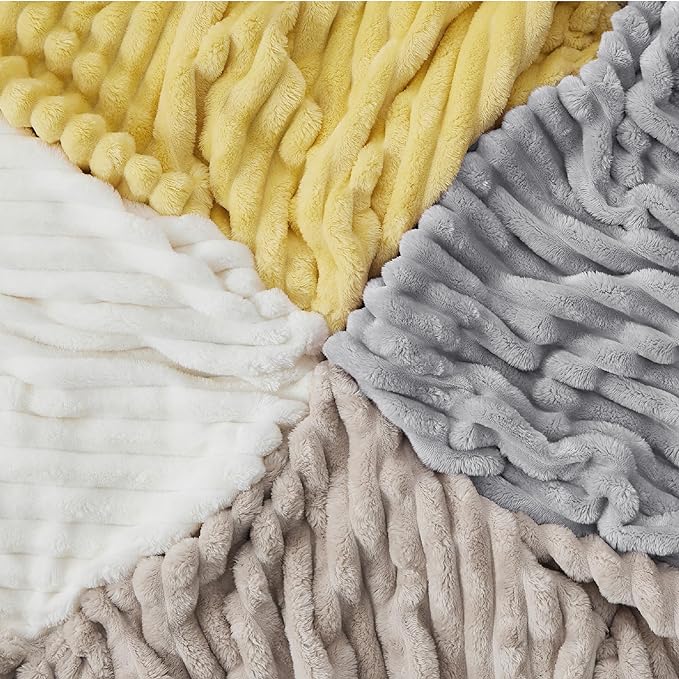 Bedsure Twin Blanket for Couch - GentleSoft Cozy Soft Blankets for Women, Cute Small Fleece Throws for Girls, Light Grey, 60x80 Inches