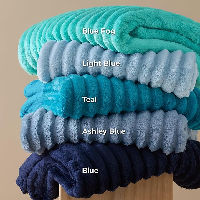 Bedsure GentleSoft Blue Fleece Blanket for Couch - Cozy Soft Blankets for Women, Cute Small Throws for Girls, Spring Decorations for Home, Light Blue, 50x60 Inches