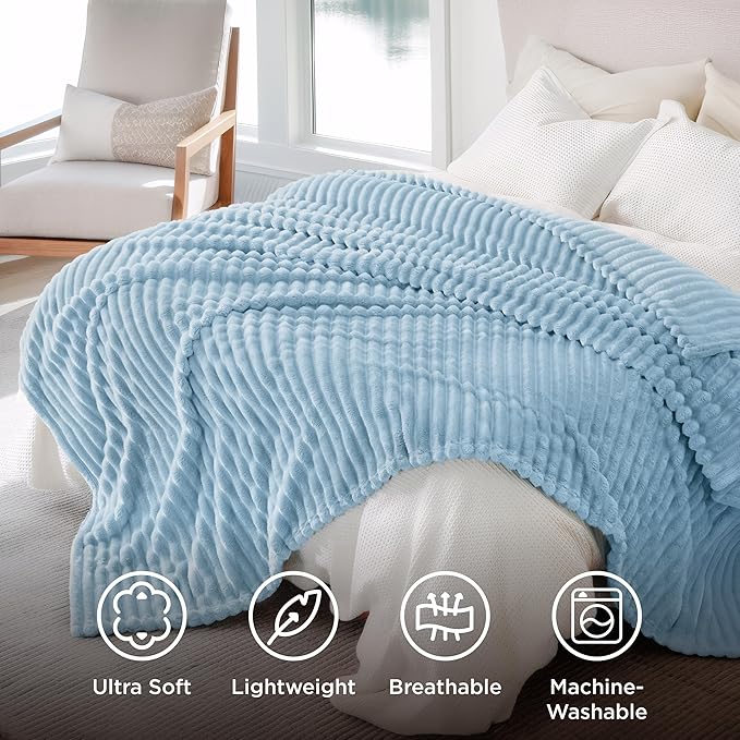 Bedsure Blue Fleece Blanket for Couch - GentleSoft Cozy Soft Blankets for Women, Cute Small Throws for Girls, Light Blue, 108x90 Inches