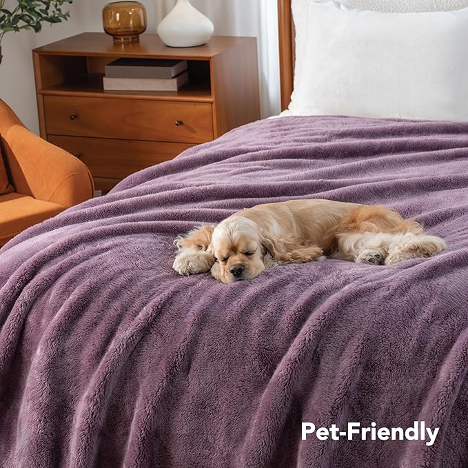 Berkshire Blanket Classic Extra-Fluffy™ Plush Blanket, Twin Size Bed Blanket, Soft Fuzzy Fluffy Long Hair Blanket for Couch Sofa Bed, Plum Smoke, 60x92 Inches