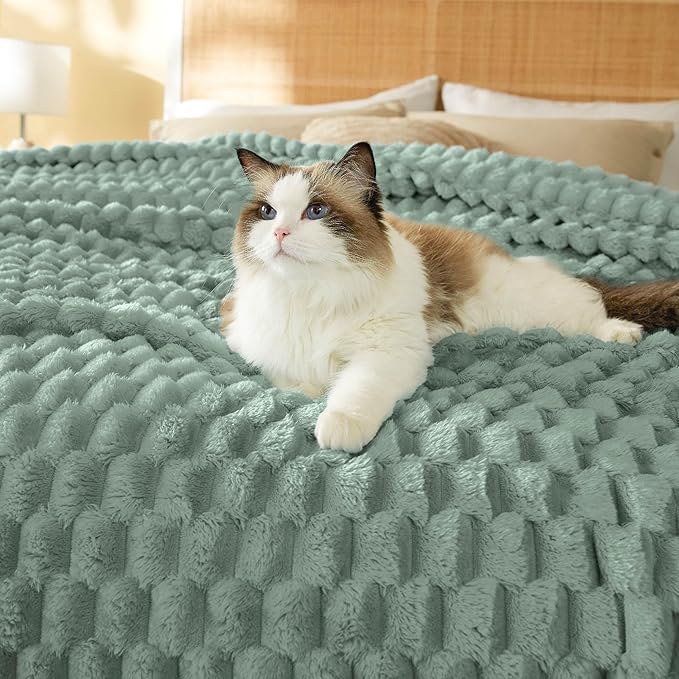 Bedsure Queen Blanket for Bed - Super Soft, Cozy Blankets for Women, Cute Fleece Gifts for Girls, Sage Green, 90x90 Inches