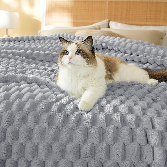 Bedsure Queen Blanket for Bed - Super Soft, Cozy Blankets for Women, Cute Fleece Gifts for Girls, Cloudy Gray, 90x90 Inches